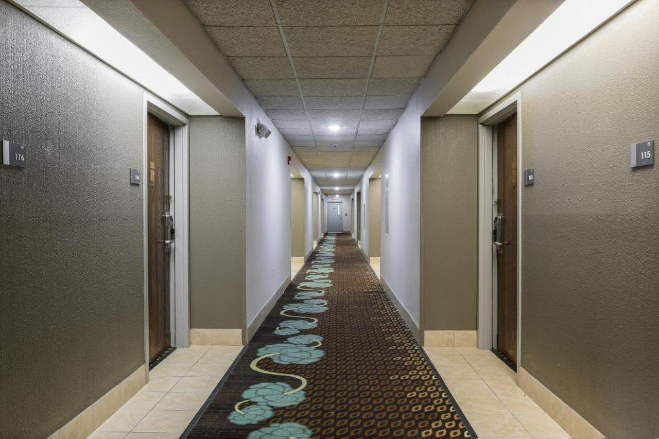 Bliss Point Inn & Suites نيو بوففالو المظهر الخارجي الصورة